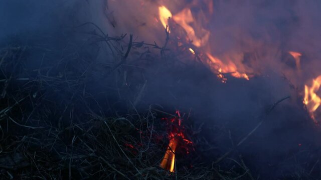 Last year's dry grass burns, smolders and smokes closeup
