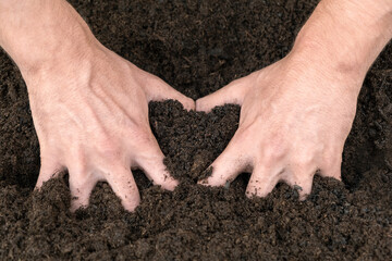 Male farmer hands deep in soil, heart shape form. Organic Compost ground. Gardening concept.