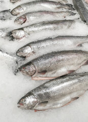 Fish carcasses in ice on the counter