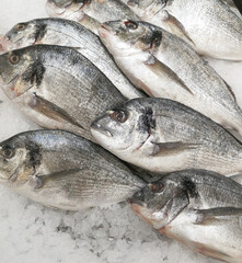Fish carcasses in ice on the counter