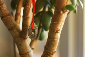 Chinese coin for luck and wealth hanging on the tree