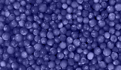 Background with violet cranberry berries. Top view. Trendy color very peri in the 2022 year.