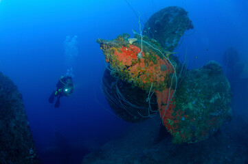 Fototapeta premium Scuba diver explores Japanese battleship Nagato prop Bikini Atoll.