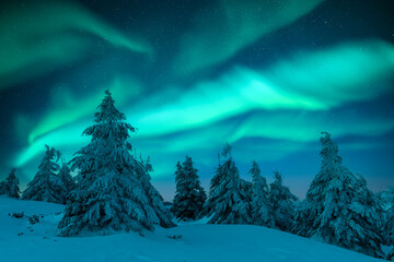 Aurora borealis. Northern lights in winter forest. Sky with polar lights and stars. Night winter landscape with aurora and pine tree forest. Travel concept