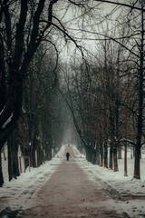 Empty walkway or path on a snowy avenue in Tivoli park in Ljubljana during midday.