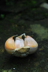 One clove of garlic, seasoning, Garlic Cloves and Bulb, flavor, organic food, sliced, healthy food,