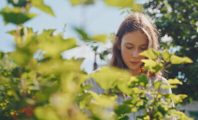 Tween girl collects red currants in the country.