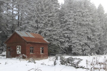house in the snow