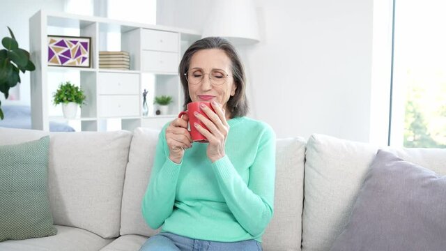 Inspired lady sit comfy divan drink espresso in morning interior room