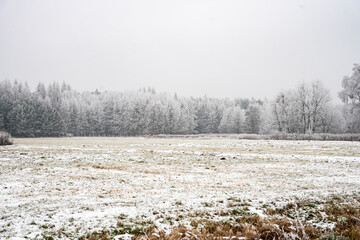 Zima, zimowy krajobraz, zimowe drzewa, oszronione drzewa, śnieg, zimowe krajobrazy, łąka zimą, Polska zimą,  - obrazy, fototapety, plakaty