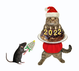 A beige cat in a Santa Claus hat holds a chocolate 2022 Christmas cake with candles. White background. Isolated. - 475344289
