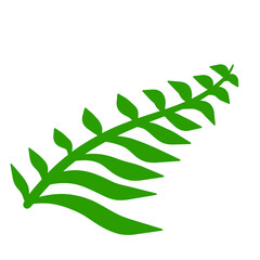 Fern leaf. Element of nature and the forest. Green bracken plant. Flat cartoon illustration isolated on white