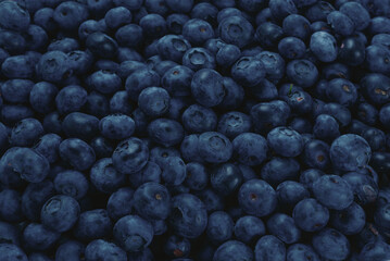 Fresh blueberry background.