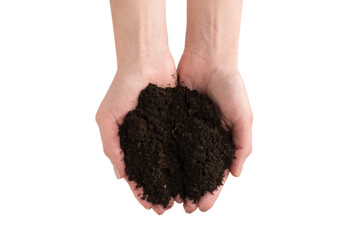 Brown soil in woman hands isolated on white.