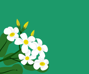 white floral on green background, flat design