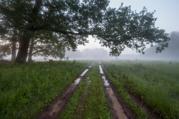 beautiful spring view, photo landscape, natural view