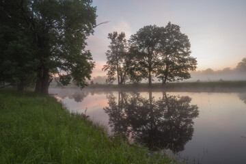 beautiful spring view, photo landscape, natural view