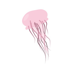Naklejka premium Pink transparent jellyfish on white background. Suitable for print and design of fabric, paper. Vector graphics 