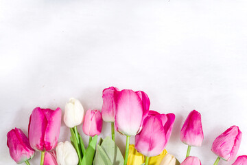 Valentine's Day concept Mother's Day, Birthday background. Spring tulip flowers with heart, gift and blank notepad for writing on white fluffy fur background, flatlay
