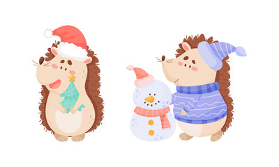 Cute funny hedgehog character activities set. Adorable baby animal celebrating Christmas and making snowman cartoon vector illustration