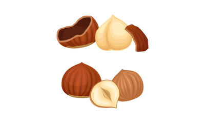 Peeled whole and half hazelnuts set vector illustration