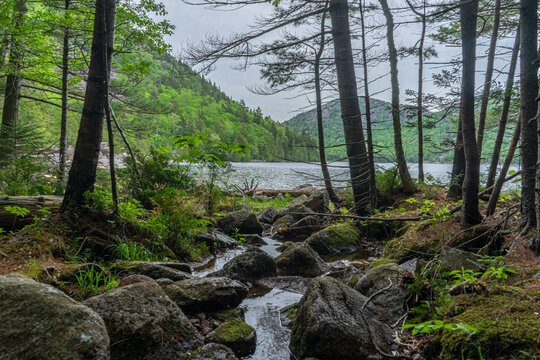 River And Mountain Forests Under A Clear Sky In Arcadia National Park, Maine