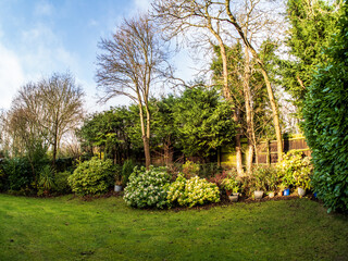 Obraz premium garden with trees