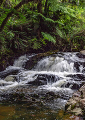 Corredeiras Ribeirao do Tigre