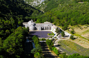 France, Provence Alps Cote d'Azur, Haute Provence, Cistercian monastery of Senanque beside lavender...
