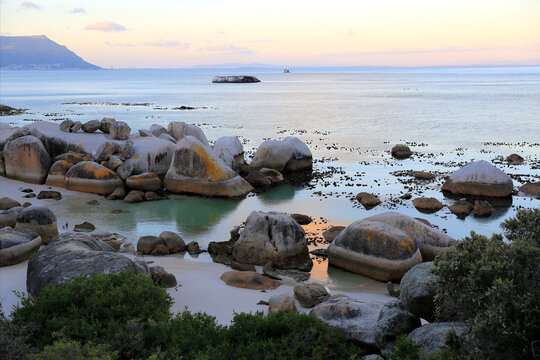 Beautiful view of Boulders Beach seascape in Simons town in South Africa