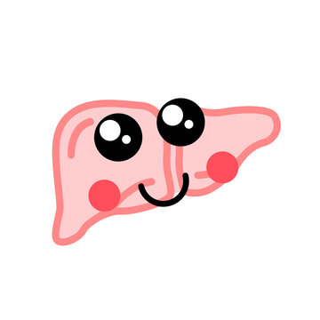 Human liver with cute face, medical icon on white