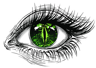 Isolated vector illustration of human eye with reptile snake iris.