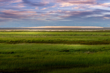 Baie du mont St Michel - Herbus