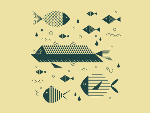 Set of graphic and stylized fish. Vector illustration of a small aquatic world. 