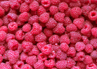 Juicy ripe raspberries, top view. Raspberry background