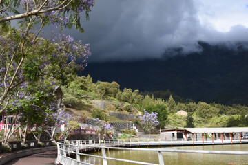 Mare à joncs, Cilaos, île de la Réunion, Océan Indien