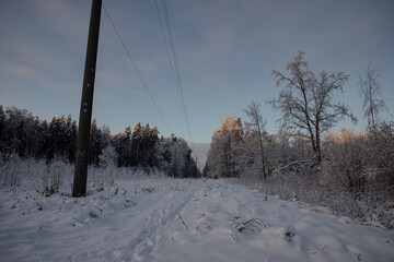 High-voltage transmission line. High-voltage line in the forest clearing. Industrial winter landscape at sunset in the forest