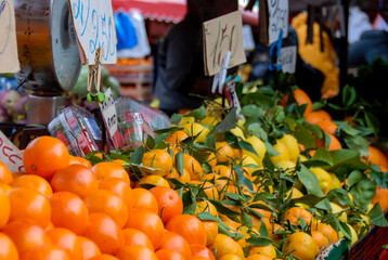 Some oranges on sale at the market