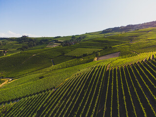 Langhe hills with vineyards seen from La Morra