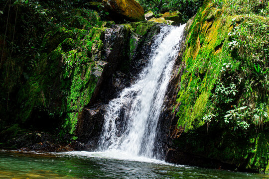 TREKKING BRAZIL - SP - PARANAPIACABA