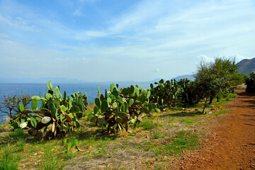 coastal panorama in the zingaro natural reserve sicily italy
