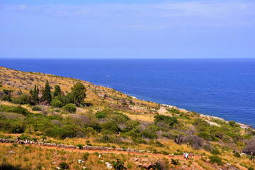 Fototapeta na wymiar coastal panorama in the zingaro natural reserve sicily italy