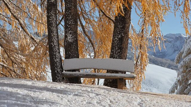 Picturesque landscape with orange larch and wooden bench covered by first snow on meadow Alpe di Siusi, Seiser Alm, Dolomites, Italy. Snowy mountains peaks on background. UHD 4k video