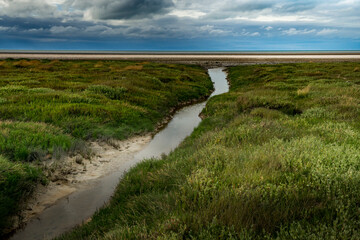 Baie du mont St Michel - Herbus