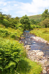 Fototapeta na wymiar An Exmoor stream in summer - Weir Water near Robbers Bridge, Somerset UK