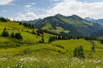 Naklejka premium Typical alpine landscape in early summer near Damuls, Vorarlberg, Austria