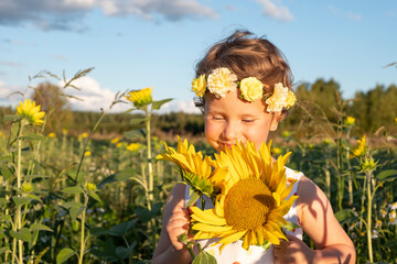 Girl 5 years old, Caucasian, happy on the field with sunflowers and smiling. Girl in the rays of the setting sun.