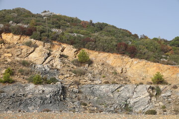 A cliff overgrown with forest above the highway