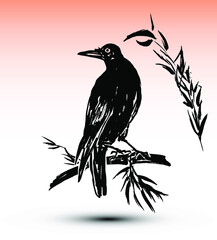 Crow on a branch. Japanese style traditional woodblock printing of ink crow on a branch in watercolor sunset sky. 