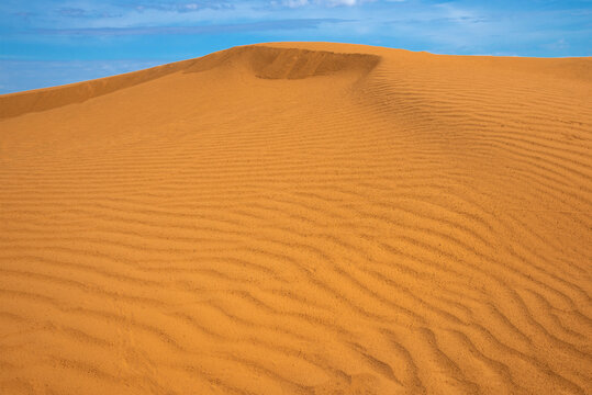 View of the endless Black Lands desert on a sunny day. Republic of Kalmykia, Russia, saksaul